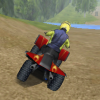 4Wheel Fury