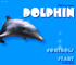 Play Dolphin