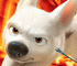 Run Bolt Run